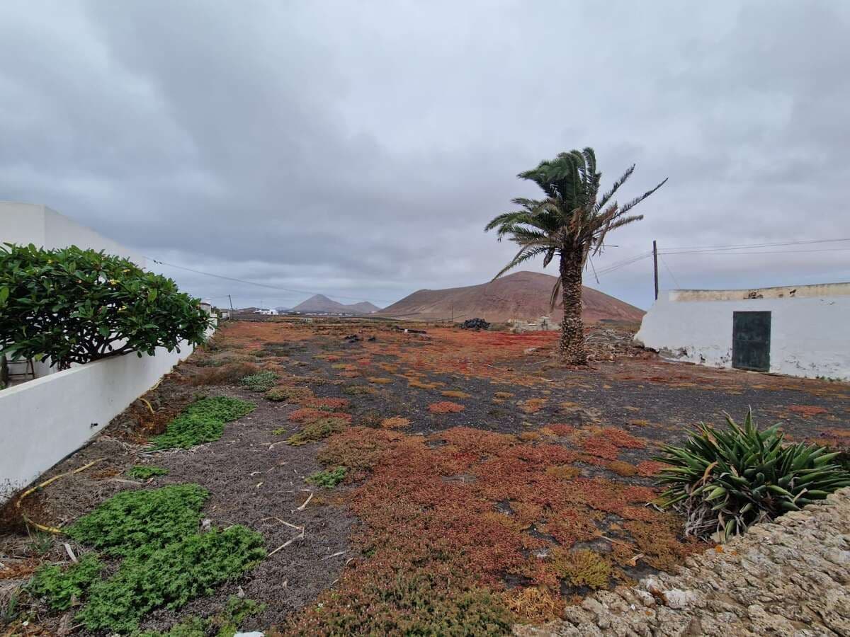 Imagen 3 de la propiedad Exklusives Baugrundstück im ruhigen Ort Tiagua.