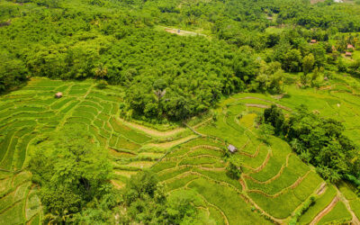 Residential Land in Greenfield