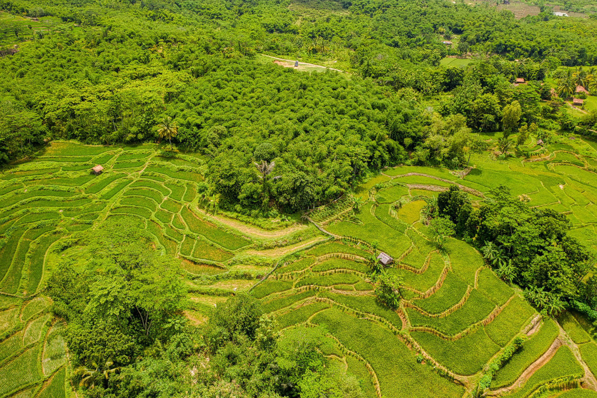 Residential Land in Greenfield